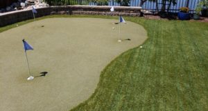 blue imported turf