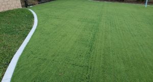 turf defects