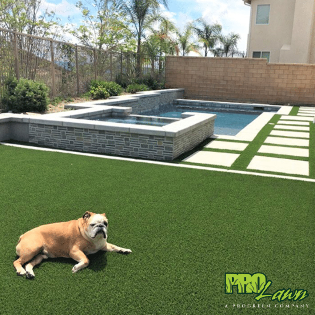 artificial turf for pets