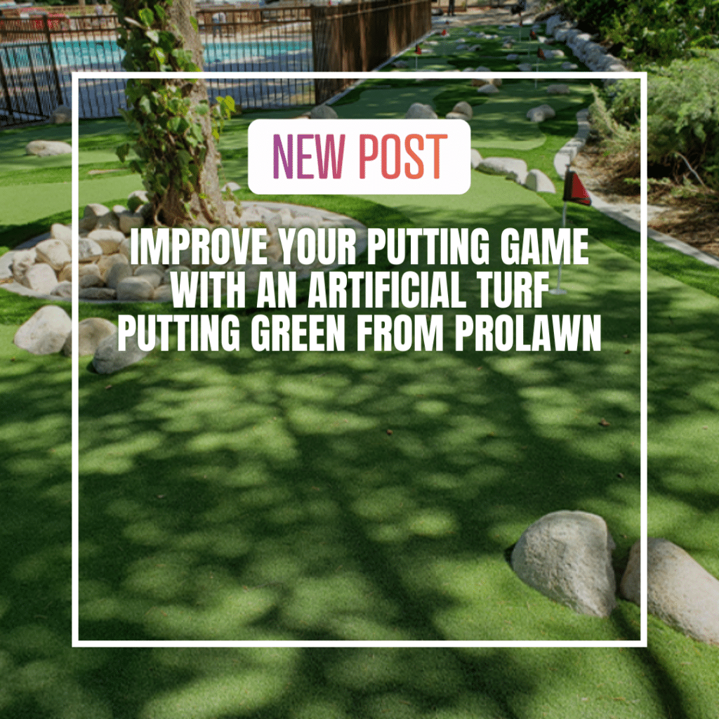 Artificial Turf Putting Green