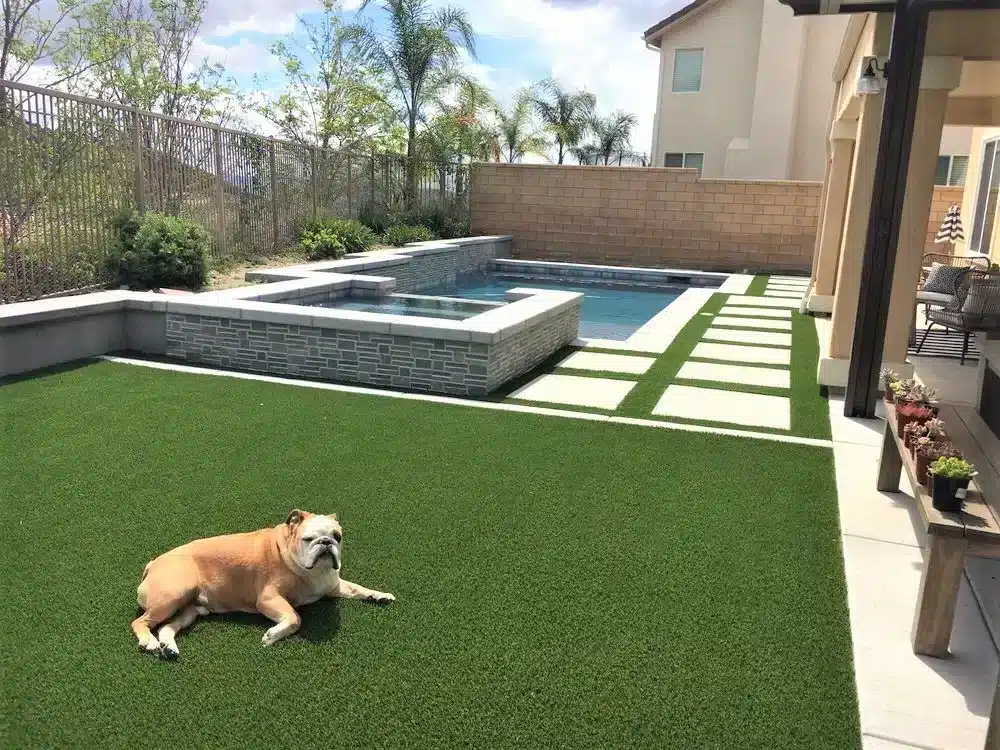 Pet Turf in Temecula CA