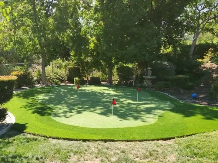 artificial turf putting green