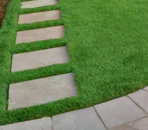 turf pathway 